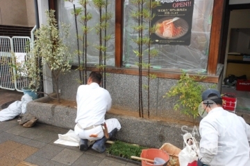 玄関先には黒竹を植えて少し和風に仕上げました。<br />
庭づくりもお任せください。